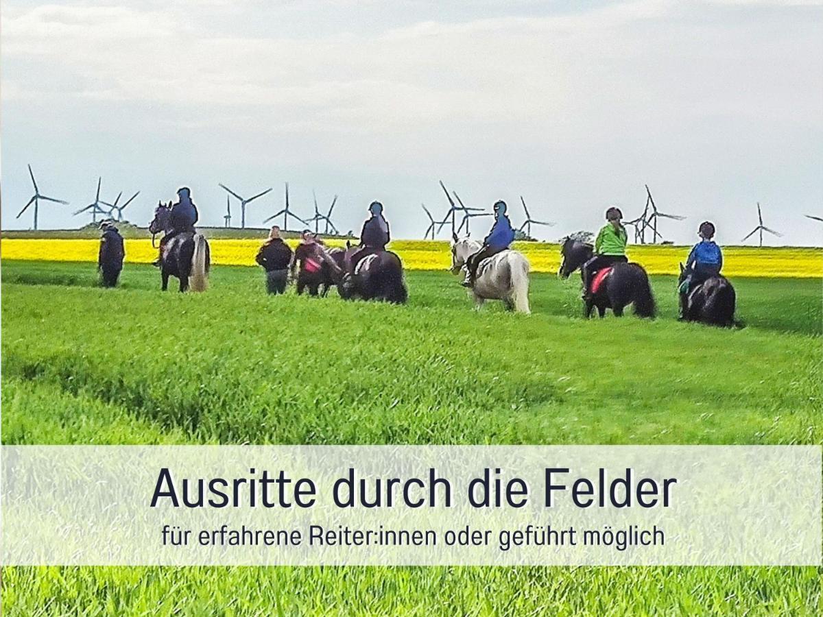 פהמארן Bio Ferienhof Wichtelweide - Ferienhaus Lichtblick מראה חיצוני תמונה